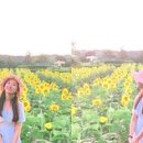 와야농장 이미지