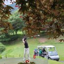 사하스크린 골프 이미지