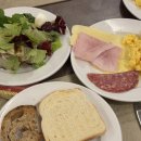 뉴피아 | 2일차 / 콜로세움 포로 로마노 팔라티노 언덕 뉴피아제타 조국의 제단 베네치아 광장 진실의 입...