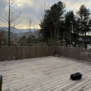 쩡7가게 | 2025.12 선택적고립 - A11 타프투타프 몰티하우스 미니 솔캠