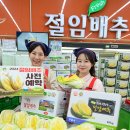 조공화원 이미지