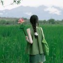 Giovanni Marradi - Summer Wind 이미지
