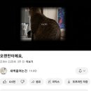 성국목장 | 내 지난 날들은 눈 뜨면 잊는 꿈