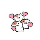 별난돼지김치찌개&뒷고기 이미지