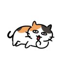 모여봐요 고양이카페 이미지