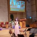 제일온천 이미지