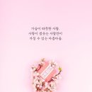 무대포 이미지