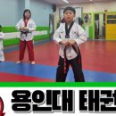 용인대멘토태권도 이미지