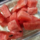 3월버텀 5월 초 까정 공쥬일상 / 제주도.야구장.취미발레.글램핑... 맛집
