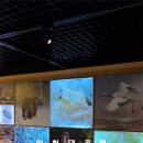 인천대공원(환경미래관) 이미지