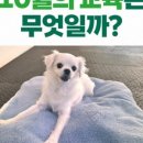 털로덮인친구들 수원시청역점 이미지