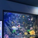 한류월드로408번길 | 아쿠아플라넷일산 - 아기랑 주말에 가기 좋은곳, 아쉬웠던 점까지 솔직후기 ! feat. 다흑전시관