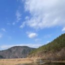 유곡면 운동장 이미지