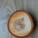 주왕산황토방 이미지