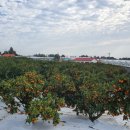 신행농장 이미지