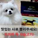 픽독 이미지