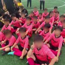 태양태권스쿨 이미지