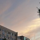 누가당구클럽 이미지