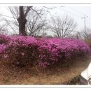 월포초등학교 | 월곶동 전기온수기 설치후기(귀뚜라미30리터) 초등학교