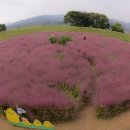 강변장여관 이미지