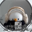 공차장안동 네이버블로그