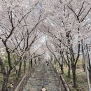 경대교 주변 이미지
