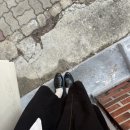 마이초이스 이미지