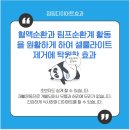 셀럽점핑 다이어트