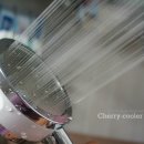 (주)웰피아 이미지