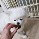 모쿠, 또모쿠 이미지