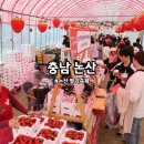 원산농장 | 🍓2026 논산 딸기 축제 총정리! 일정·주차팁·가볼만한곳까지 봄 여행 추천, 방문후기 포함