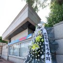 전국 256개 선관위중 투표지 인쇄 늘린곳은 한곳도 없었다 이미지