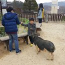 치악복싱체육관 이미지