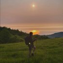 산행길 | 초경량 등산스틱 접이식 5단 튼튼한 두랄루민 등산용 지팡이 산행 사용 실제 구매 솔직 후기