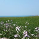 금서방네이층집 이미지