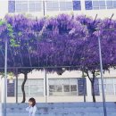 평리6동행정복지센터 이미지