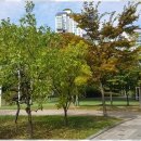 광교힐스테이트공인중개사사무소 이미지