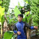 형제농장1 이미지