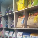 사쿠란보애견샵 부산대점 이미지