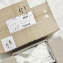 세이지디자인 | 세이지 아카이브 일러스트 청첩장 후기｜소량 제작 가능한 커스텀 청첩장 추천