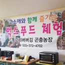 푸드조선 이미지