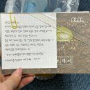 피엘피 이미지