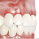 김해본치과의원 이미지