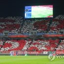 빅버드 이미지