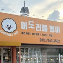 멍이요 | 구미 애견카페 어도러블 멍이 후기