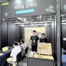 빵재미