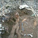 한국건강원 이미지