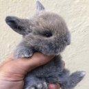 이호재축사 | 1월 셋째주 일상 / 이건희 컬렉션 수집: 위대한 여정 / 부산시립미술관