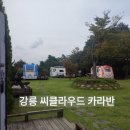 강릉씨클라우드카라반 | 강릉 애견동반 카라반 숲을 품은 감성숙소 씨클라우드