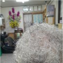 지혜머리방 네이버블로그